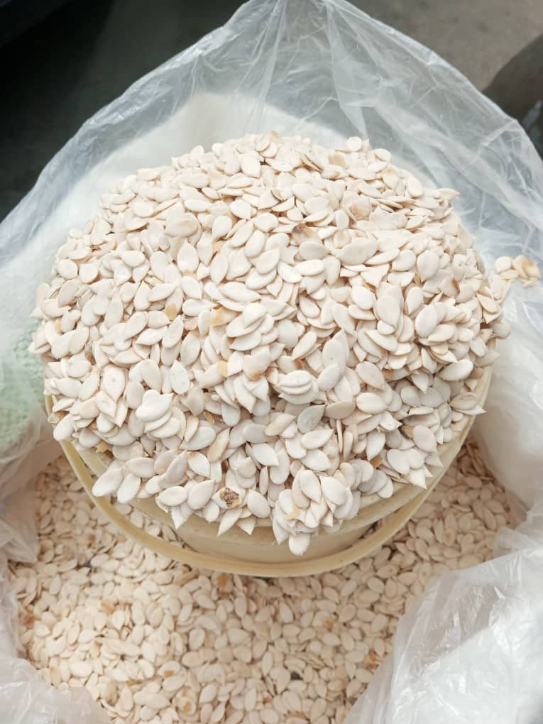 Egusi Seed
